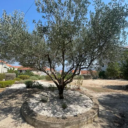 Charming Garden Haven Apartamento *